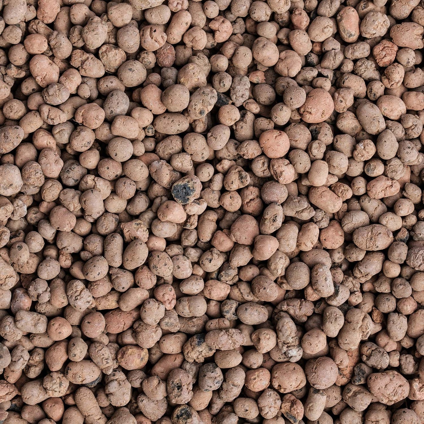 Confezione 15 L 3 x Argilla espansa Planeta Huerto 5 Litri