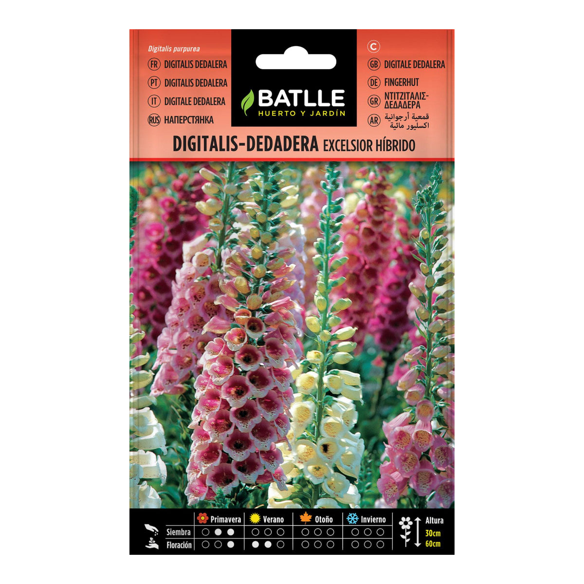 Digitalis Dedalera excelsior hybrid Batlle seeds