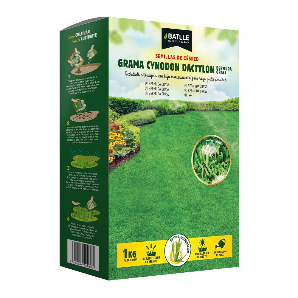 Semi di gramigna Cynodon dactylon 1 kg