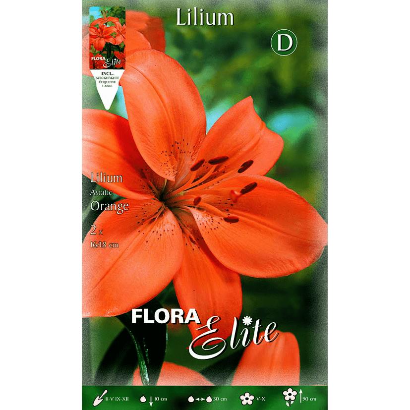 Lilium asiatic orange lökar 2 st