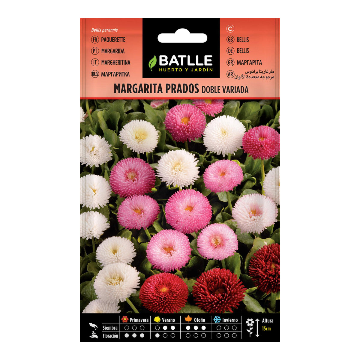 Dubbele mix margrietzaadjes Batlle