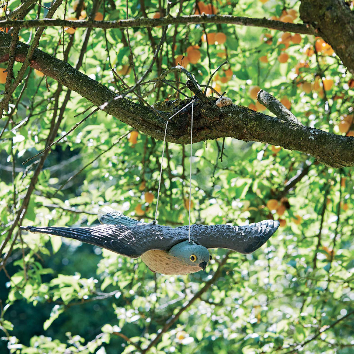 Épouvantail Verdemax