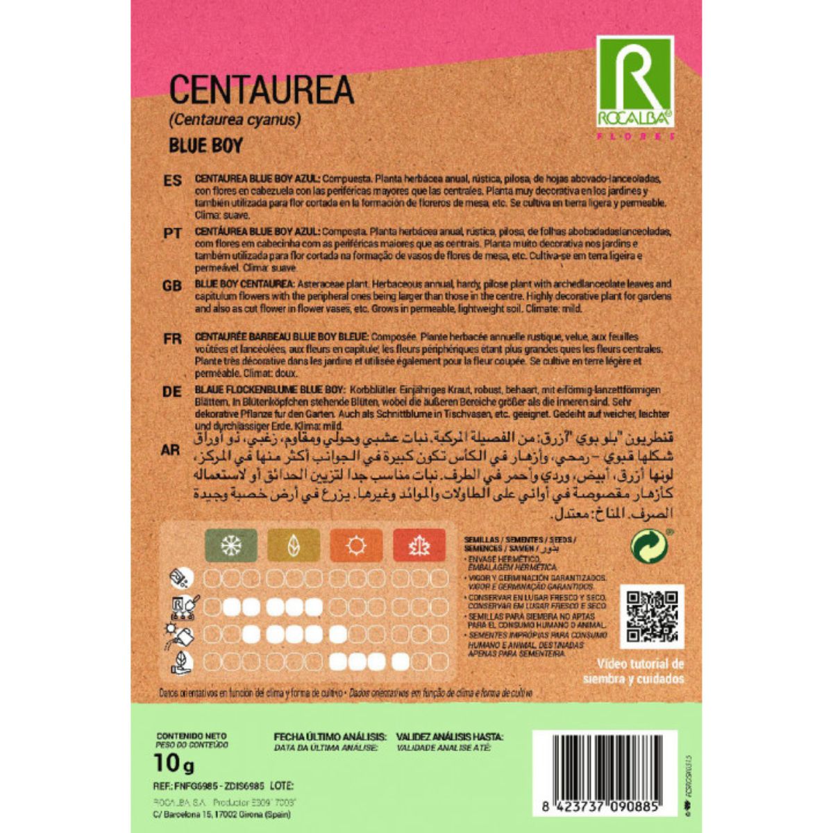 Zaden van Centaurea blue boy, blauw