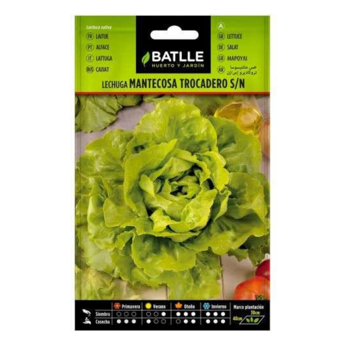 Graines de laitue Trocadero Batlle