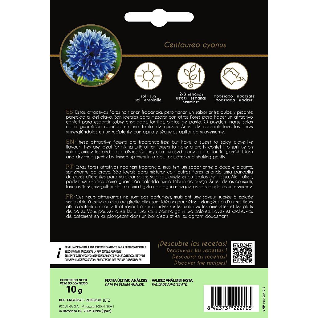 Graines de fleurs comestibles Centaurea Rocalba