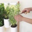 Binnenmoestuin MODULO Prêt à Pousser