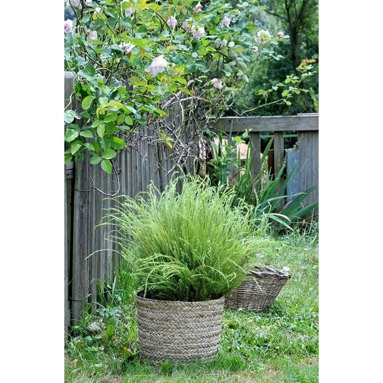Cache-pot Basket Rinia Natural 35 x 32 cm