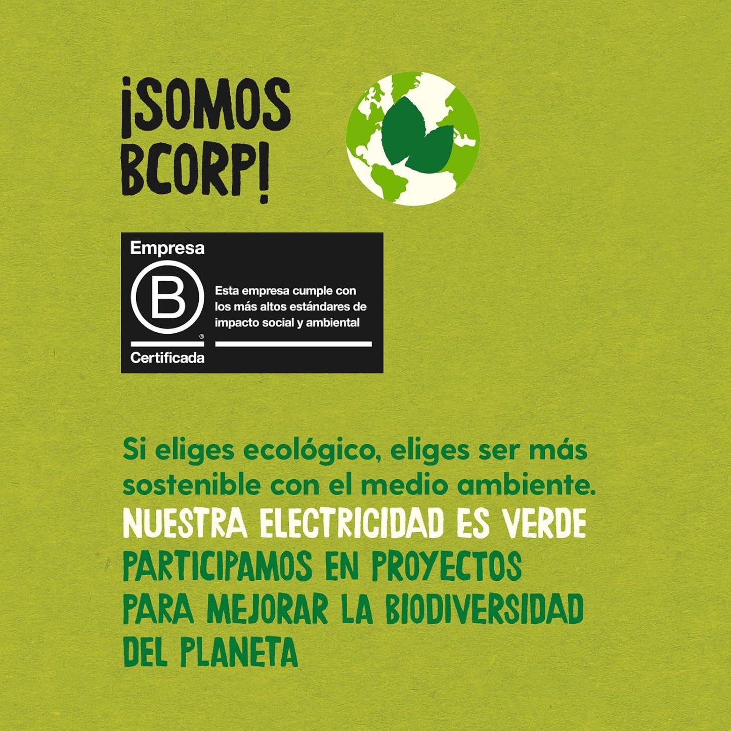 Biologische geroosterde maïsvlokken Disney-editie Ecocesta 400 g