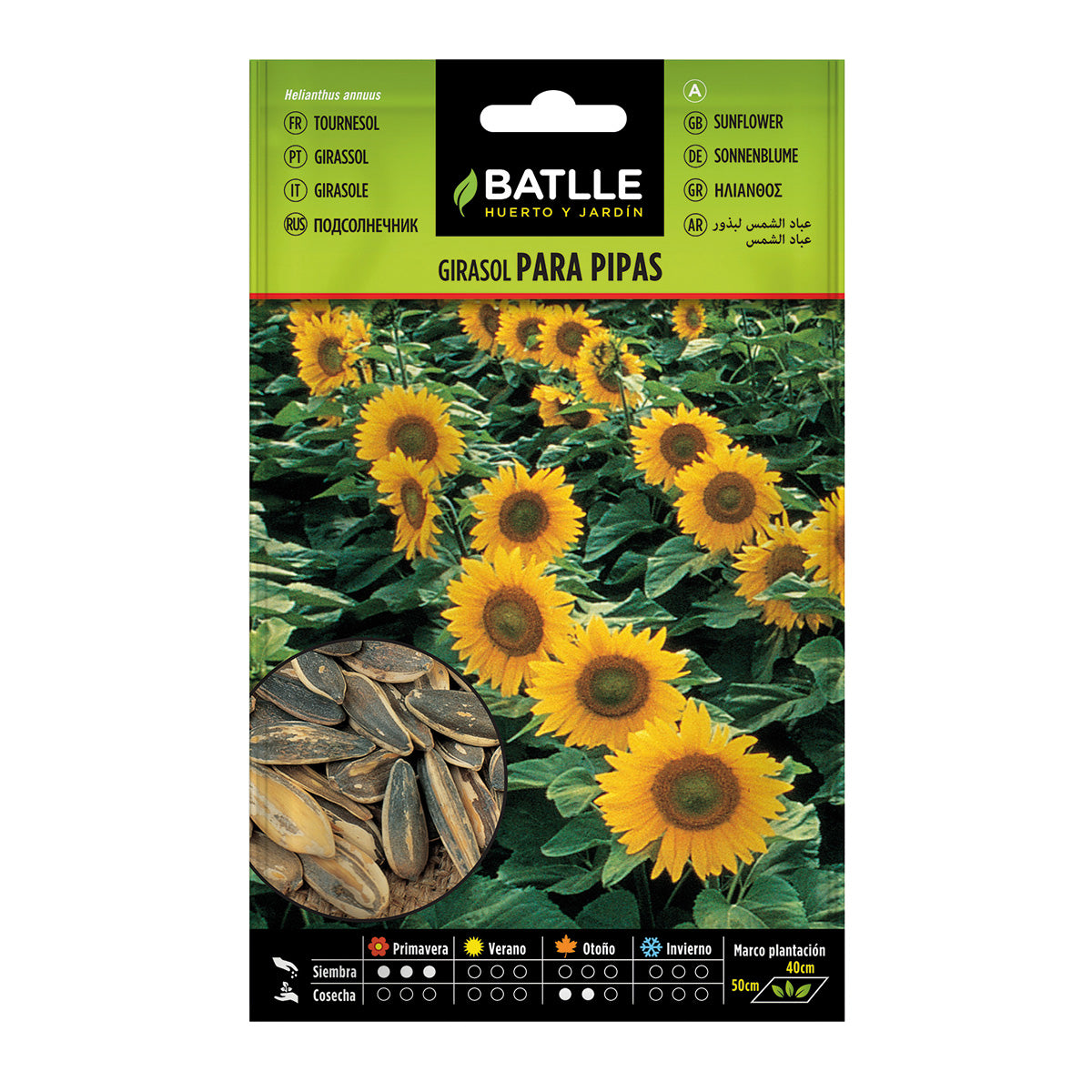 Graines de tournesol pour pipas Batlle