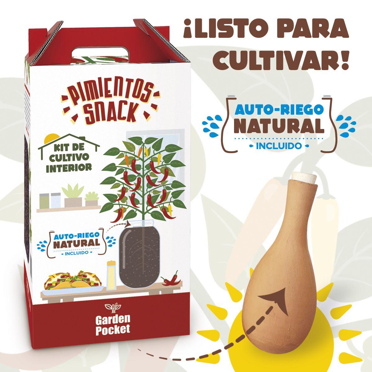 Kweekset voor binnen Snackpaprika's