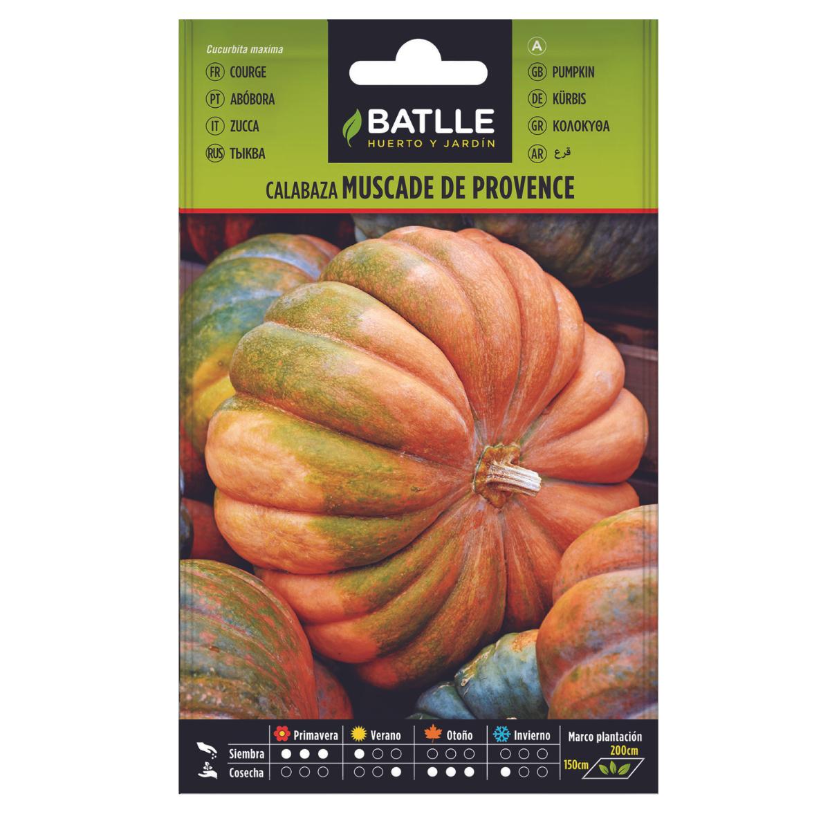Muscade de Provence pumpkin seeds Batlle