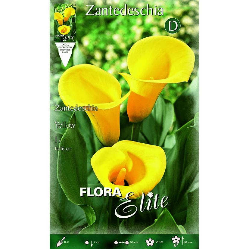 Gele calla-bol 1 stuk