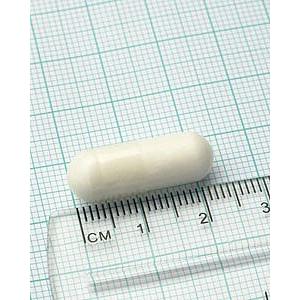 Acetylo-L-karnityna Lamberts