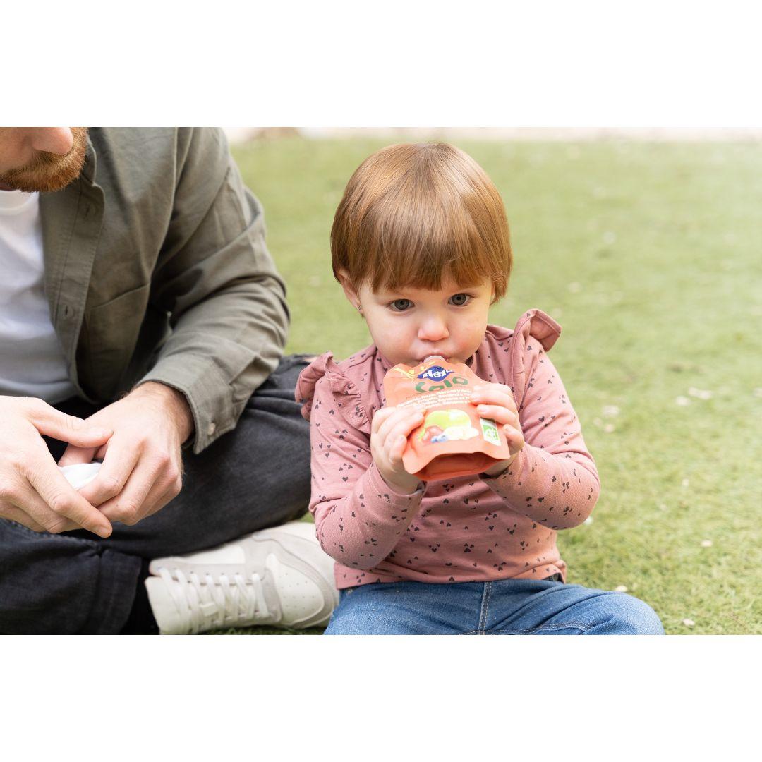 100% Eco Fruit Pouches in Apple, Strawberry, Banana and Blueberry flavours, 4x100 g - Hero Solo