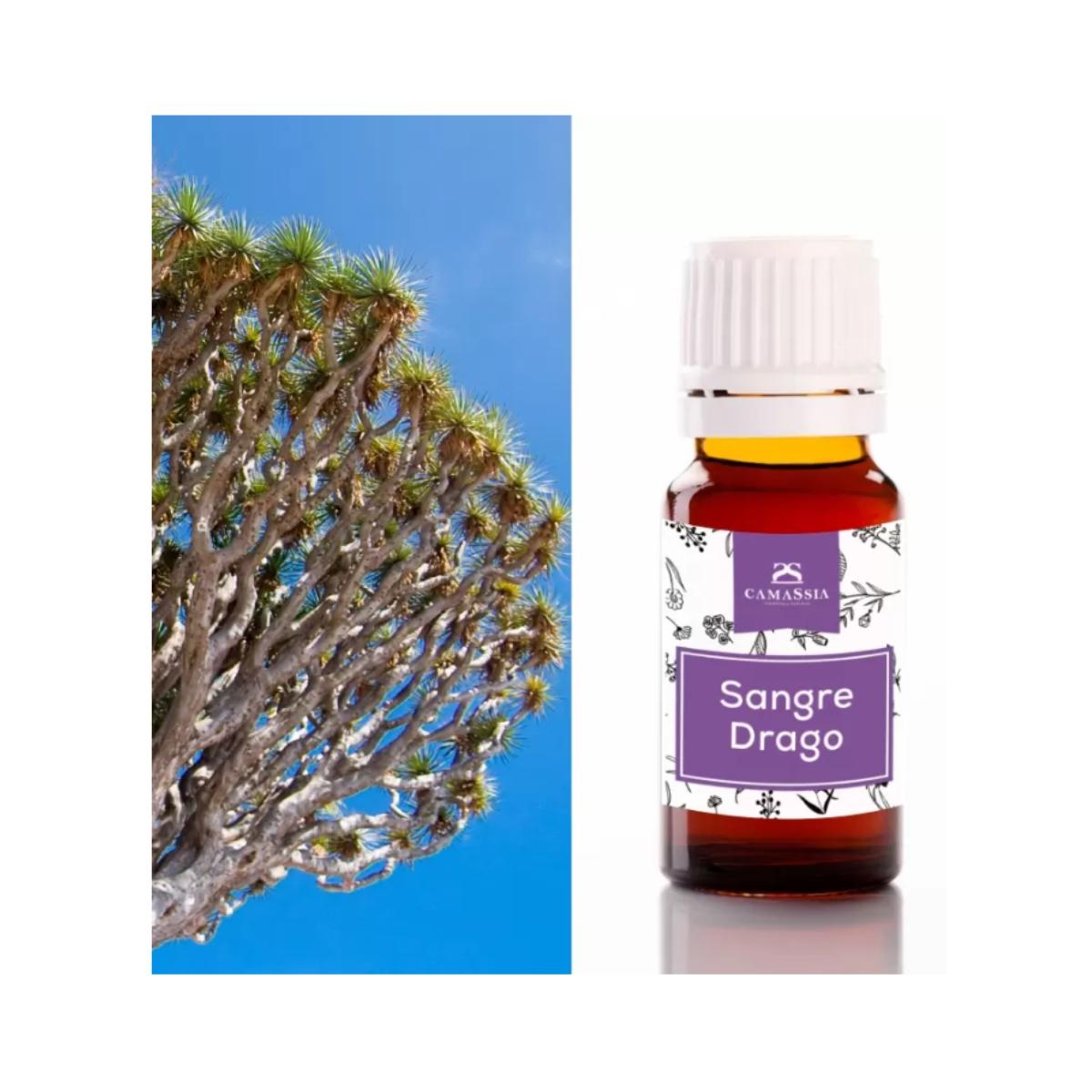 Drakenbloed (Sangre de grado). Camassia 10 ml