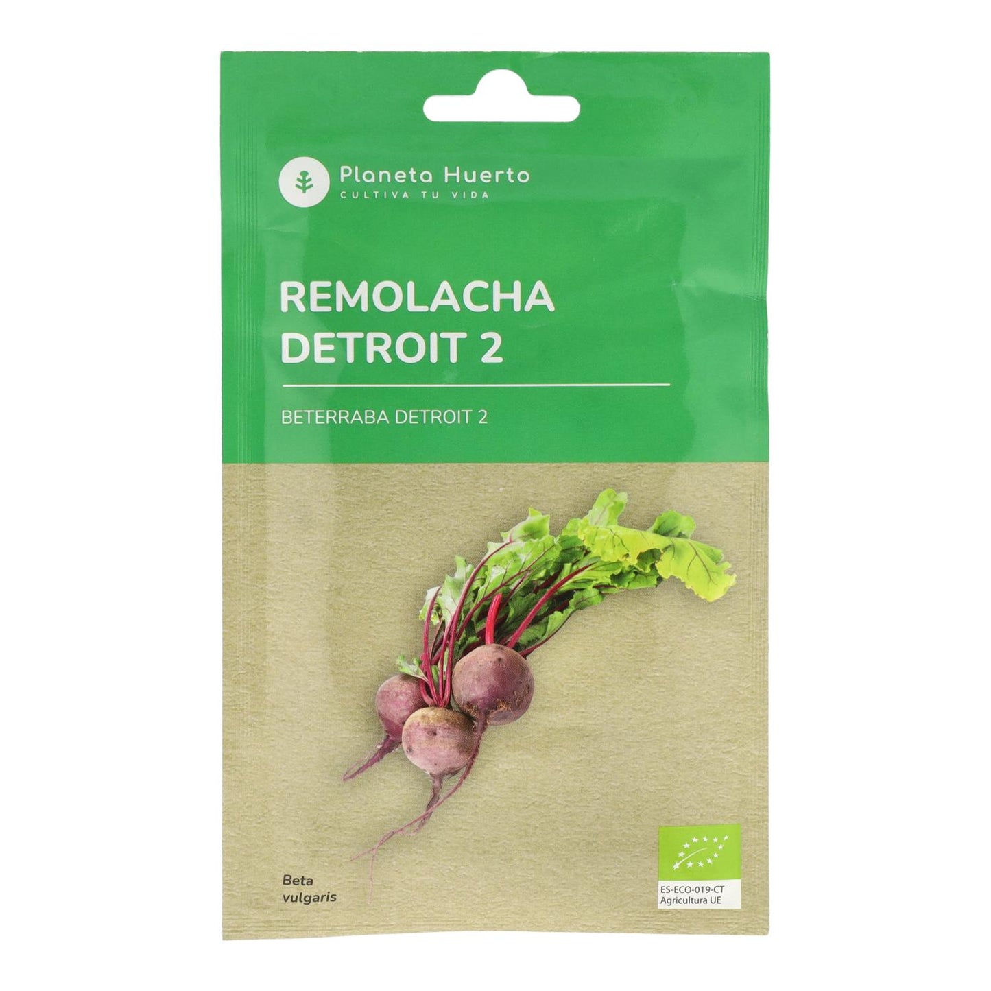 Ekologiska Detroit rödbetsfrön 2 Planet Vegetable Garden