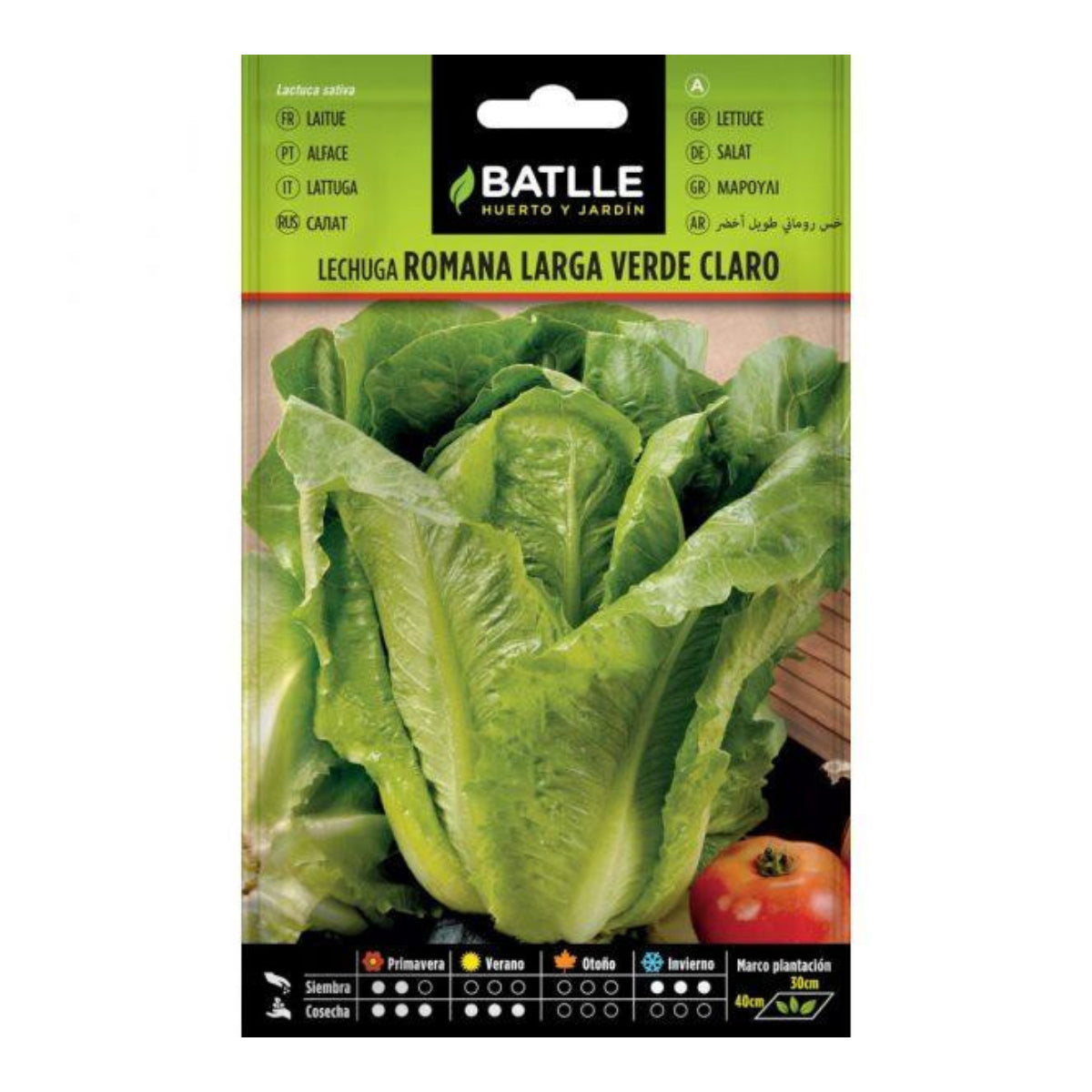 Batlle Light Green Long Romaine Lettuce Seeds