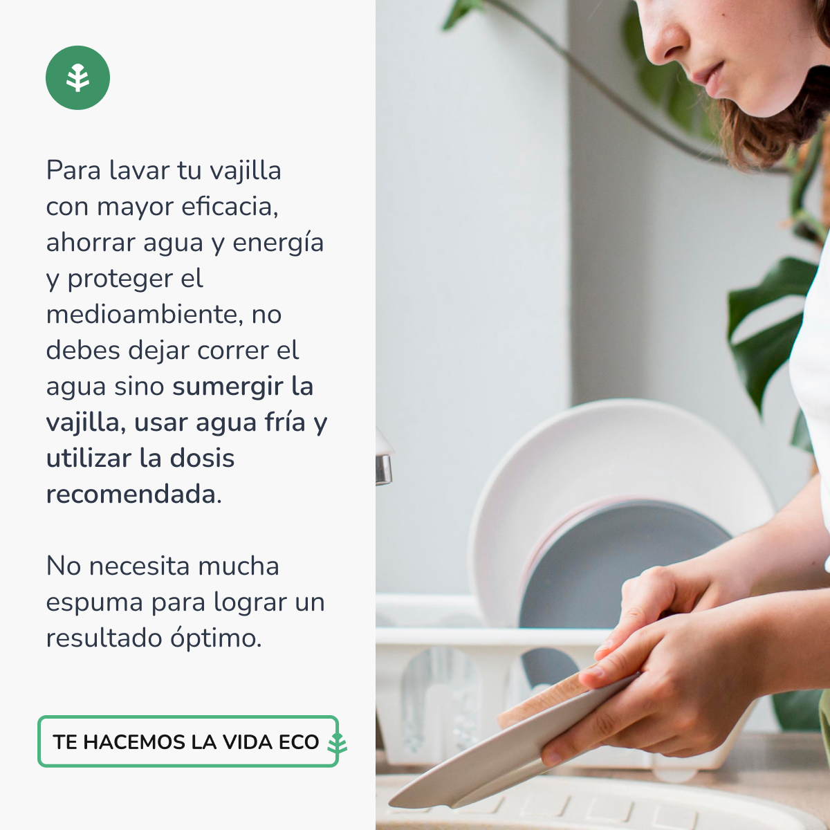 Pack 3xDishwasher manual hypoallergenic fragrance-free ECO Planet Garden 750 ml