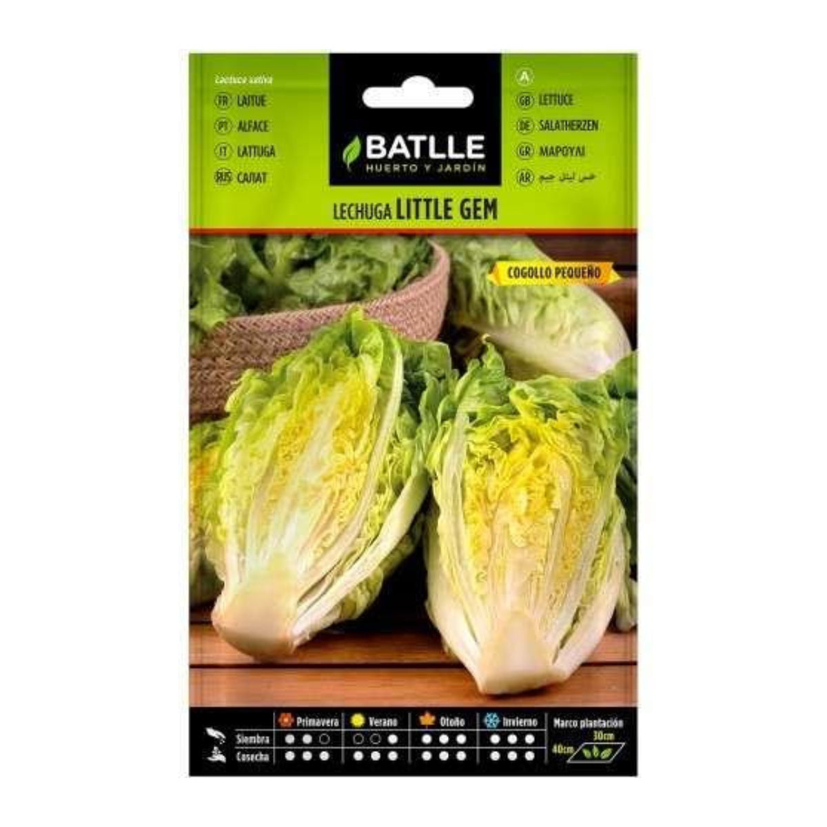 Little Gem Salatsamen Batlle