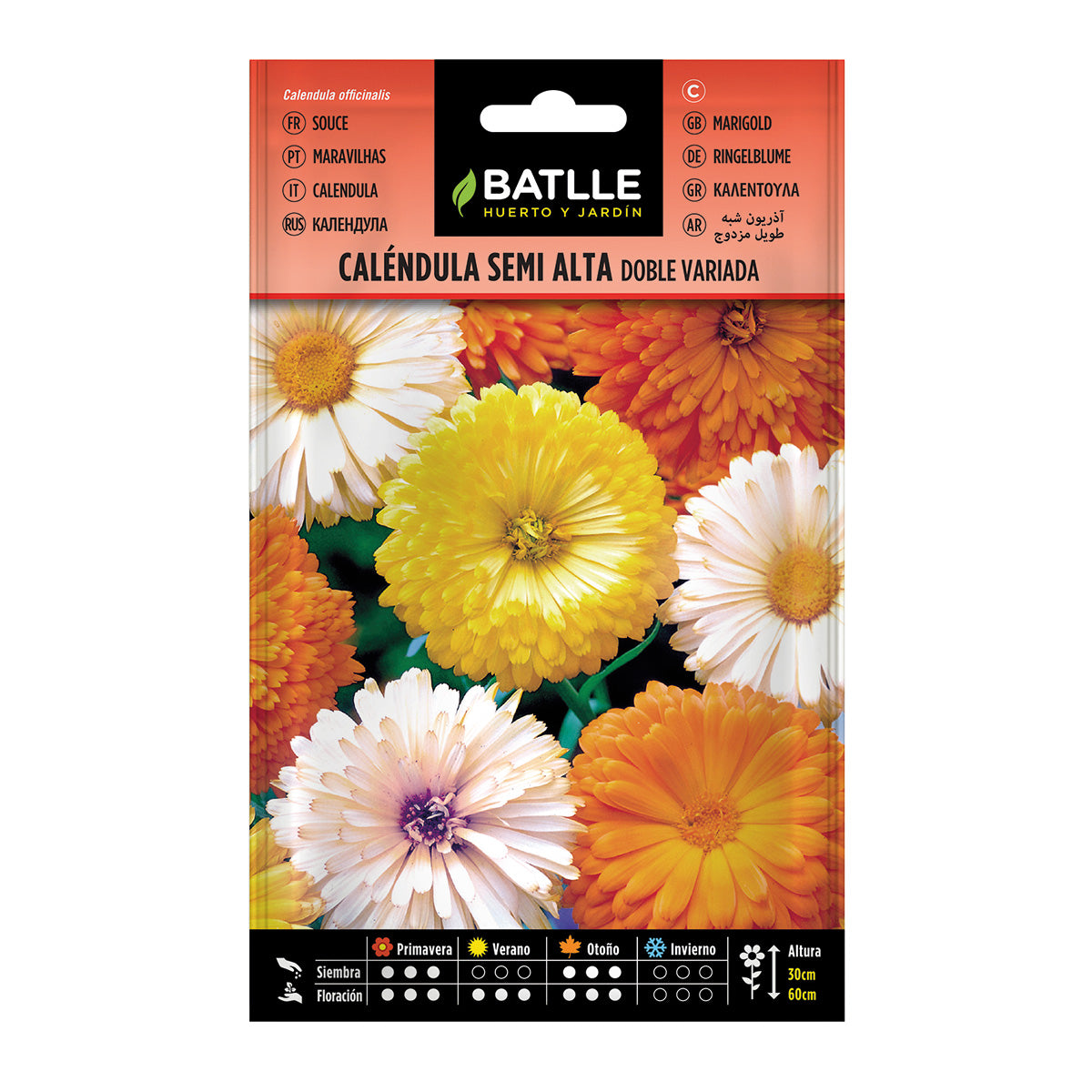 Batlle blandade halvhöga dubbla ringblommor