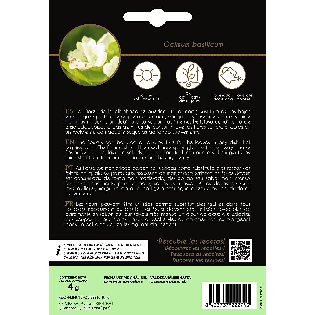 Rocalba edible basil flower seeds