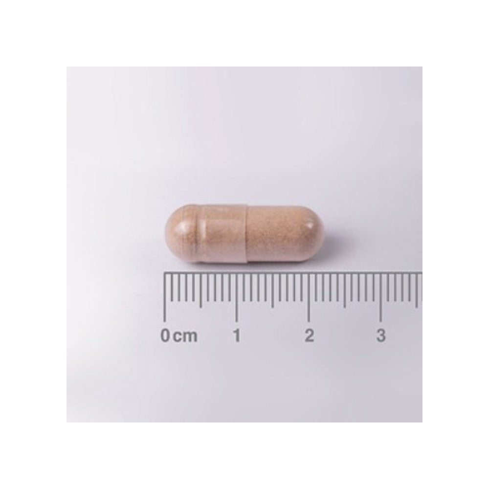 L-teanina 200 mg, Lamberts, 60 kapsułek