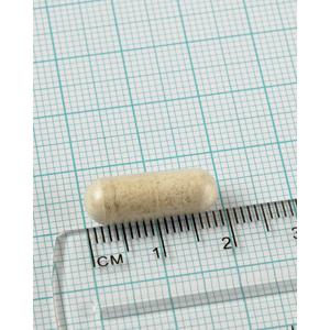 Pack of 2x Digestizyme Digestive Enzymes, Lamberts, 100 capsules