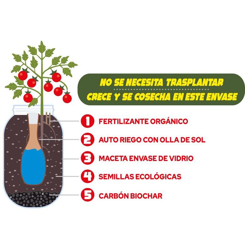 Cherry Tomato Indoor Growing Kit