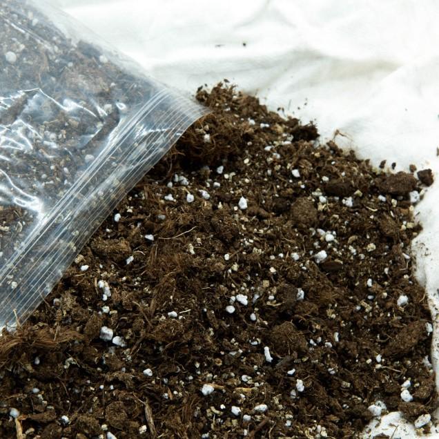 Universal-Substrat für Fleischfresser 1 l