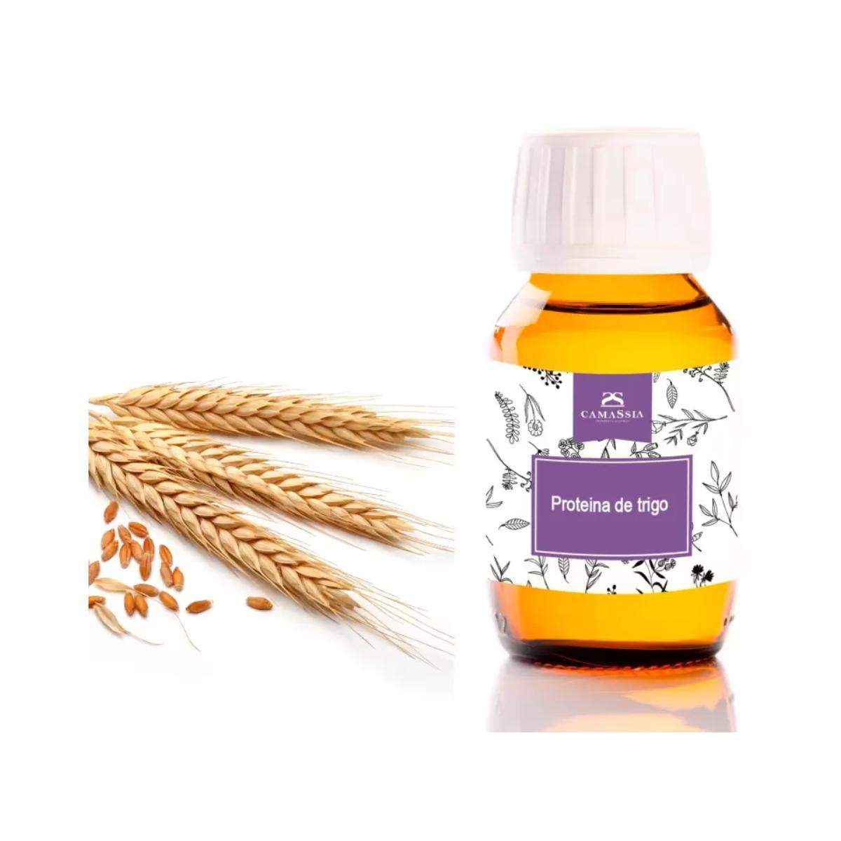 Weizenprotein, 50 ml. Camassia