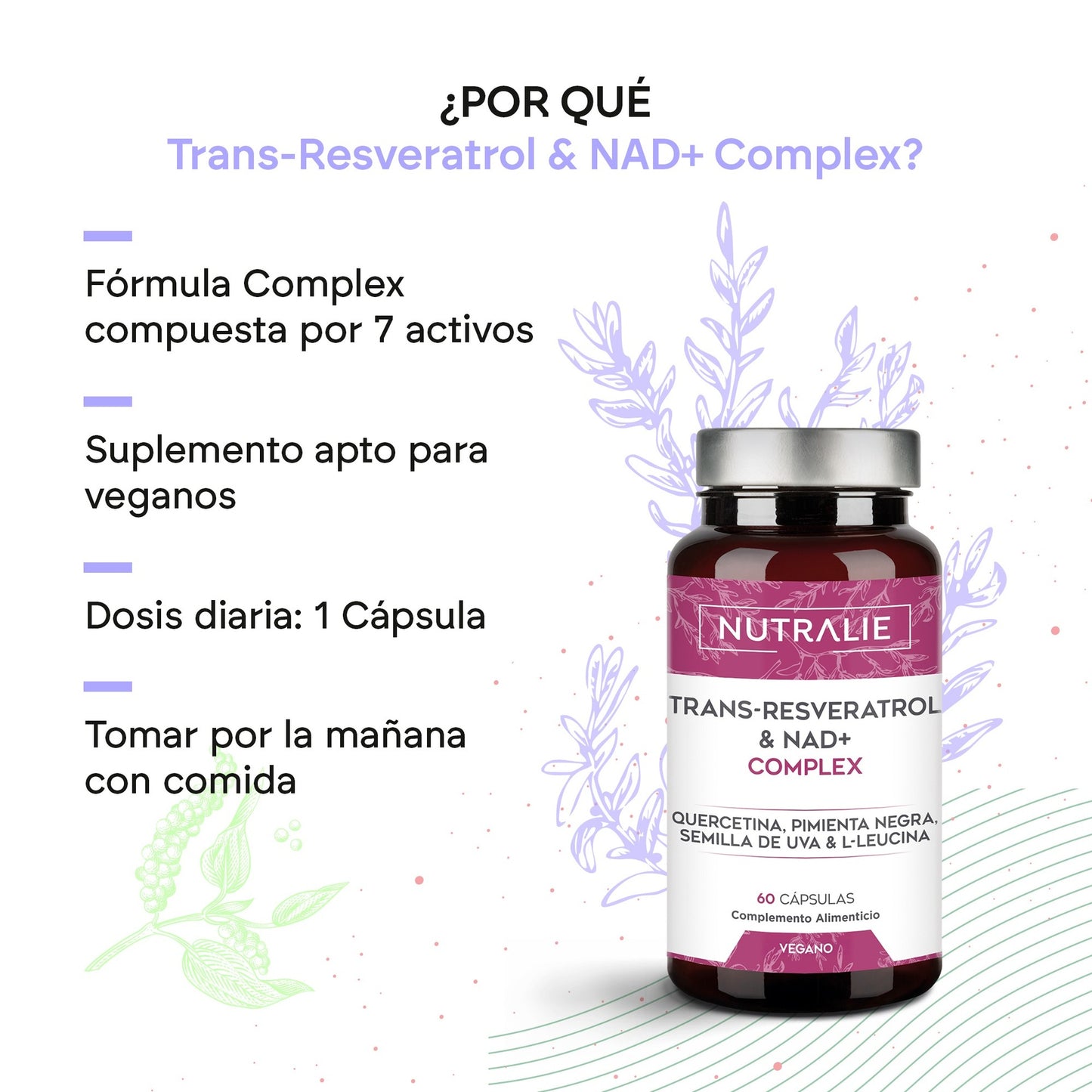 Nutralie Trans Resveratrol en NAD+ Complex 686 mg 60 capsules