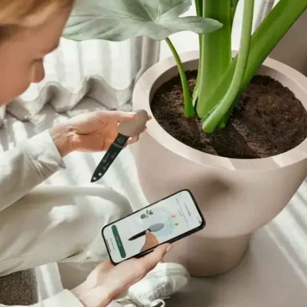 Digitale assistent voor plantenverzorging Elho Smart Pebble
