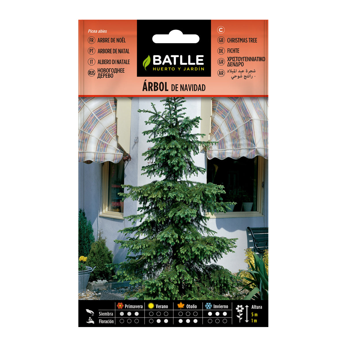 Semillas de Árbol de Navidad Batlle