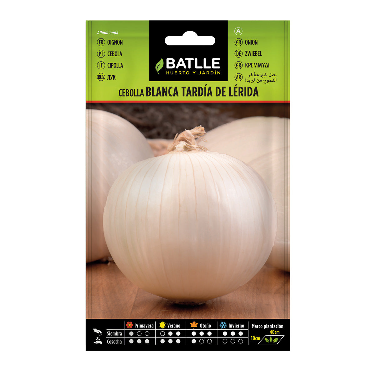 Late Large Onion Seeds from Lérida Batlle