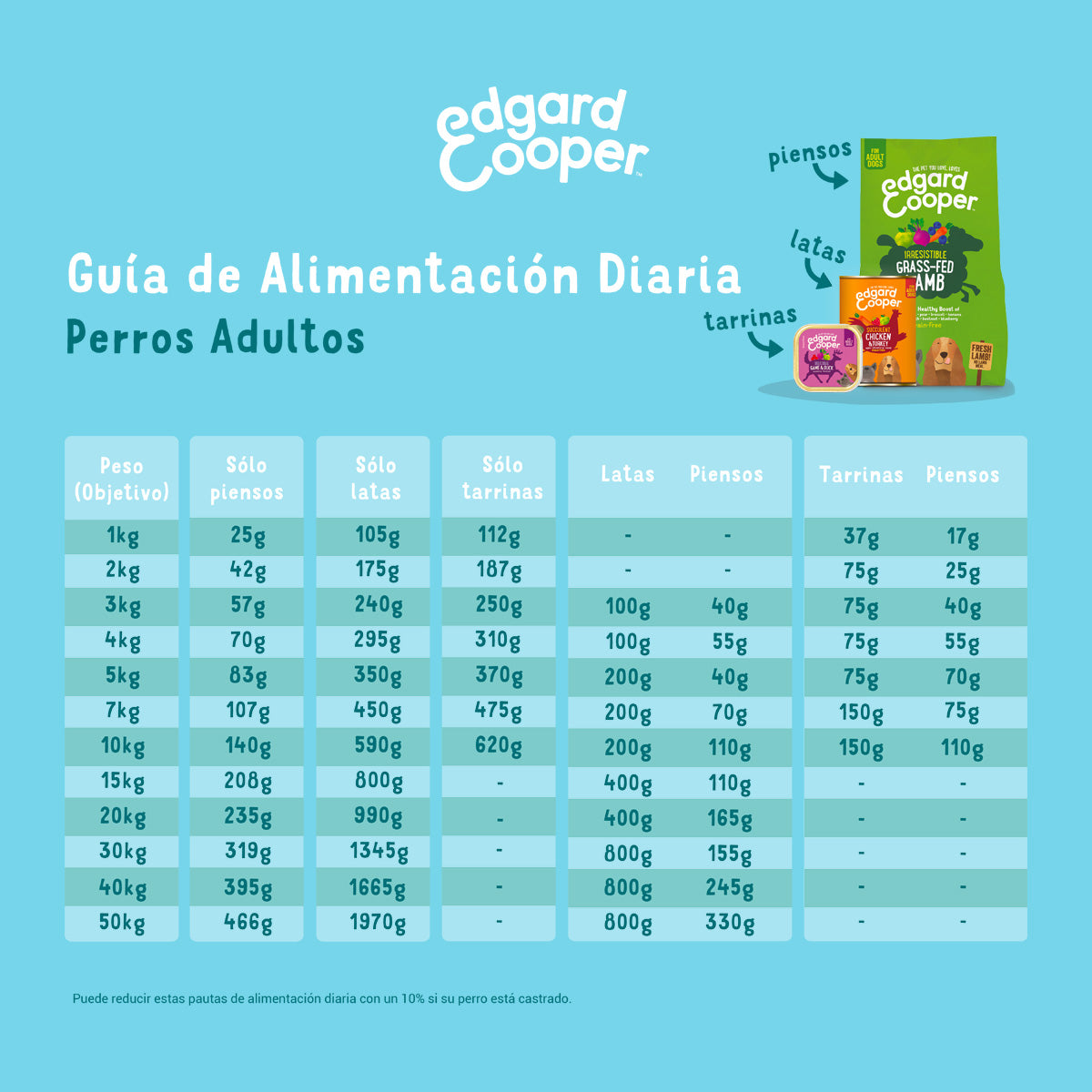 Cibo per cani Salmone Norvegese Edgard & Cooper 1 kg