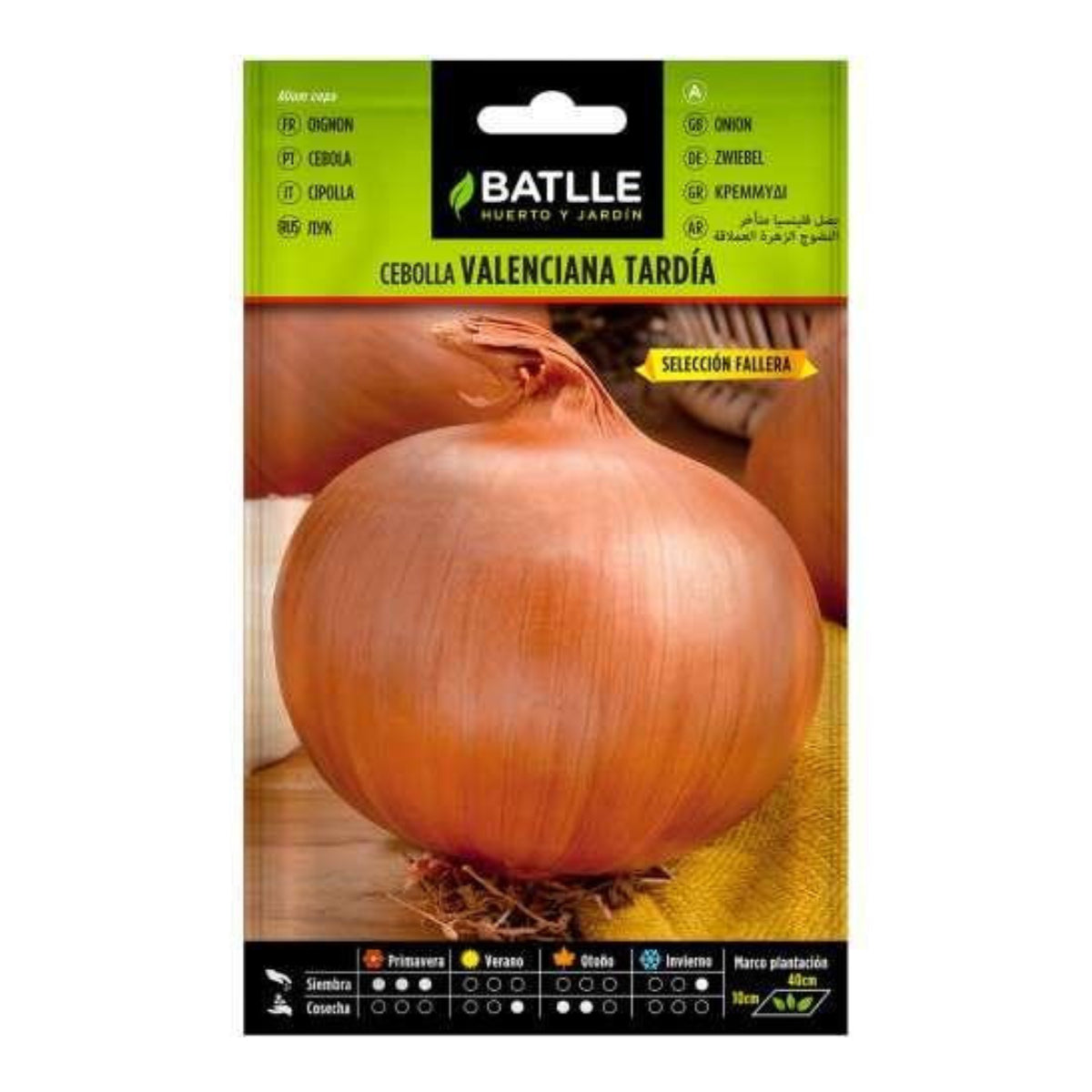 Late Valencian onion seeds, Fallera Batlle selection