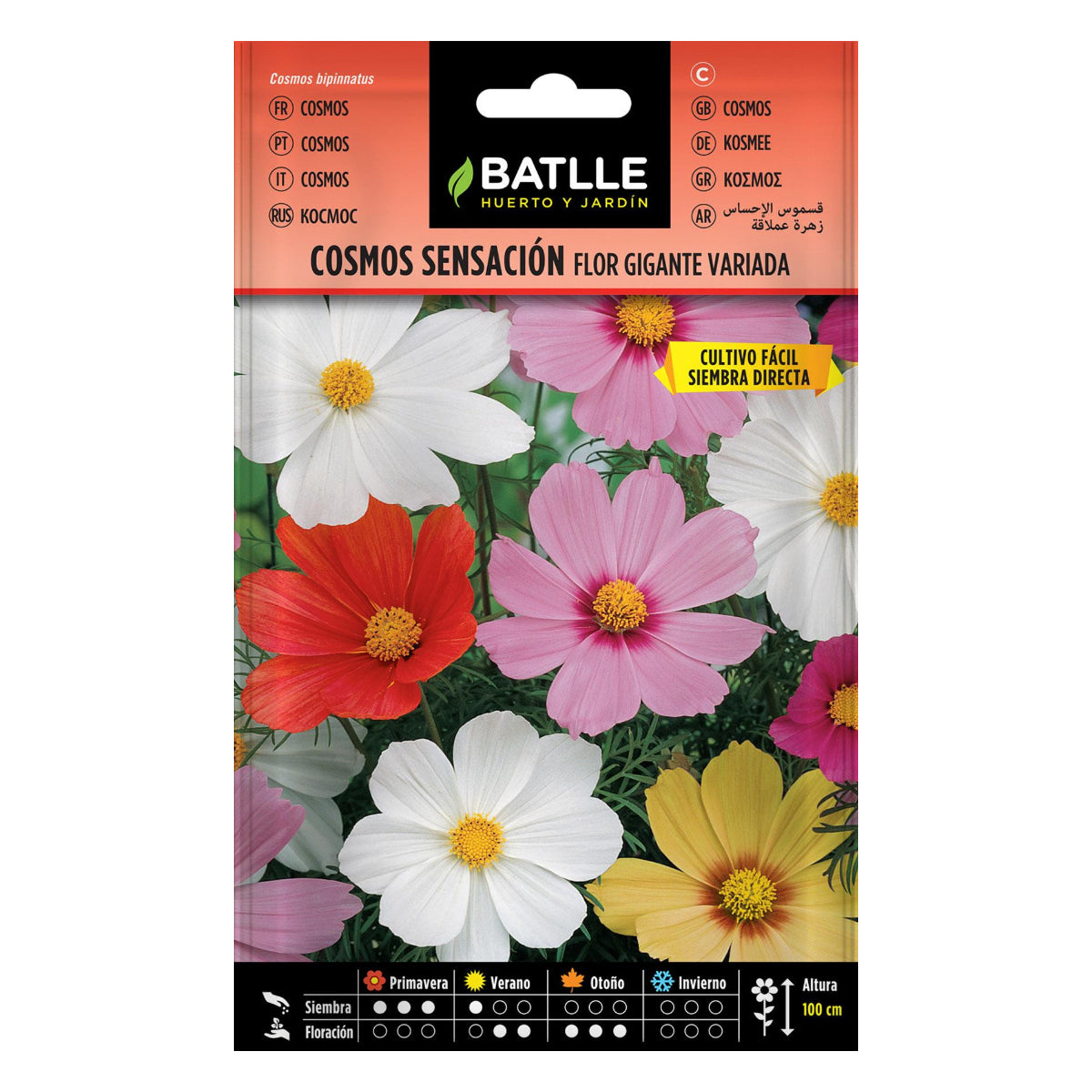 Batlle Giant Flower Cosmos Seeds
