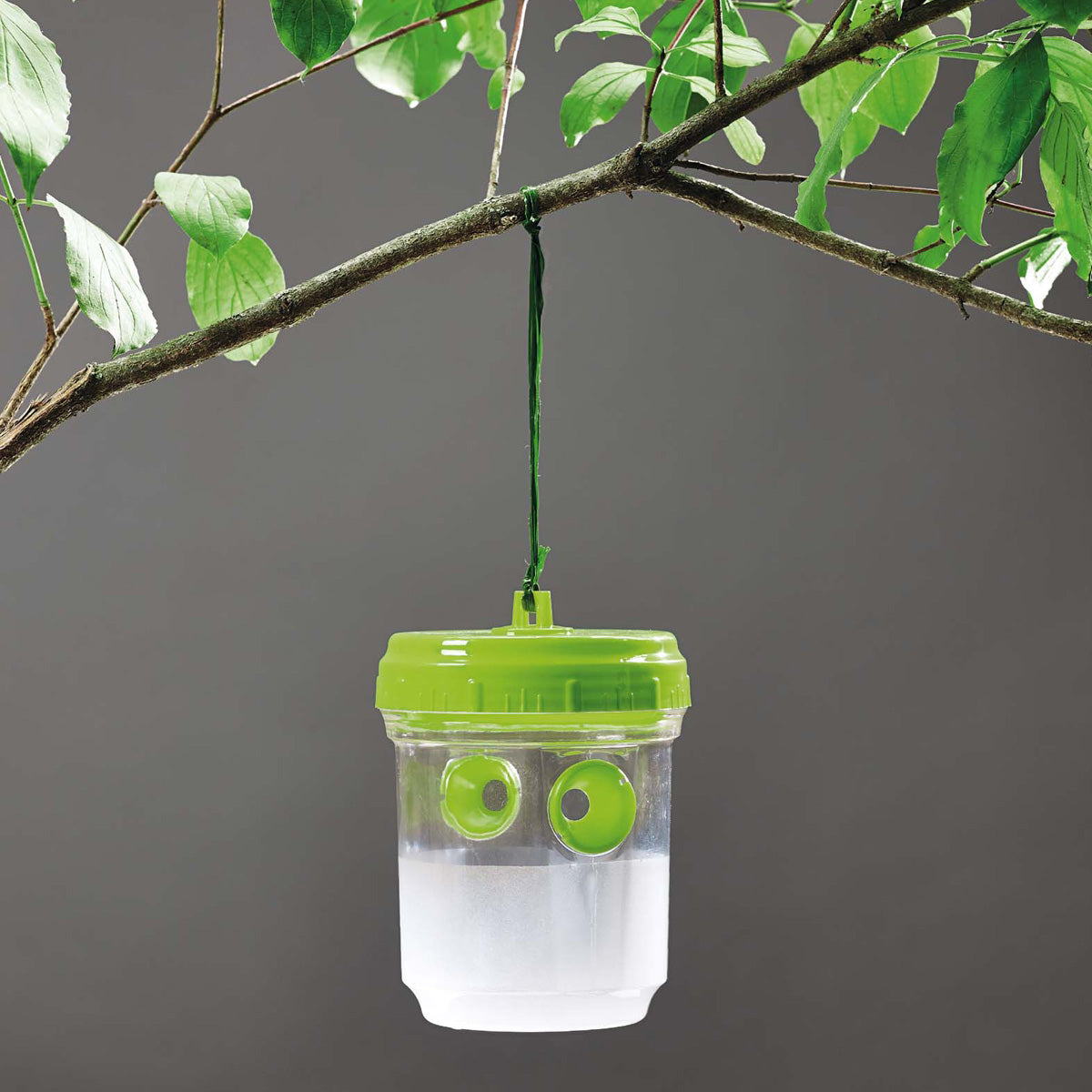 Trappola per mosche, vespe e moscerini della frutta 2 pz Verdemax