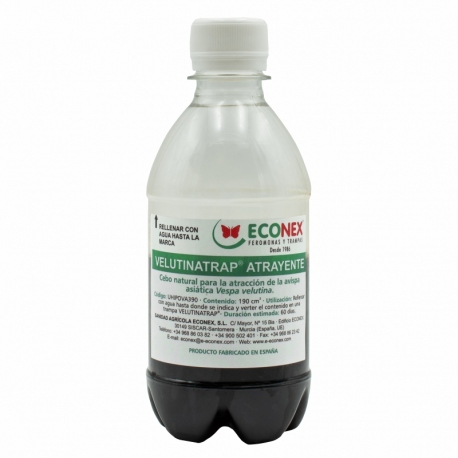 Velutinatrap Lockstoff zum Fangen der asiatischen Wespe Velutina 190 ml