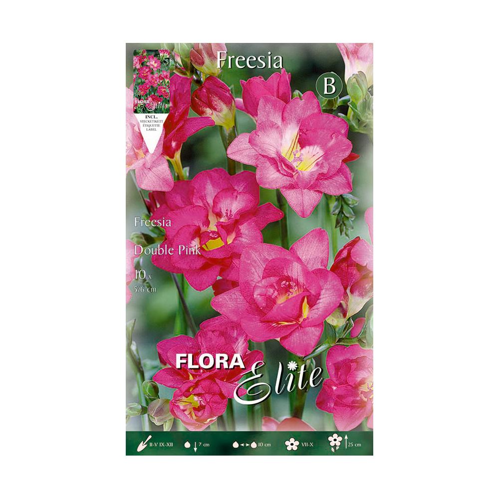 Double violet freesia bulbs 10 pcs