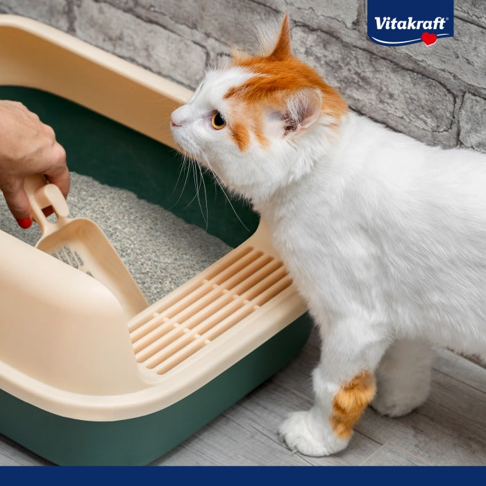 Vitakraft Compact Ultra Klumpbildande kattsand 4 L