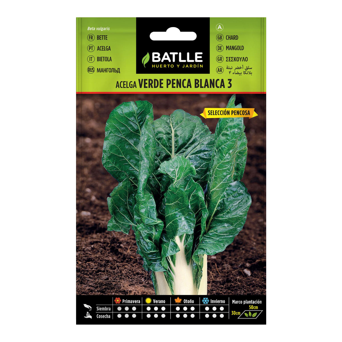 Graines de bette à carde verte à côtes blanches 3 Batlle