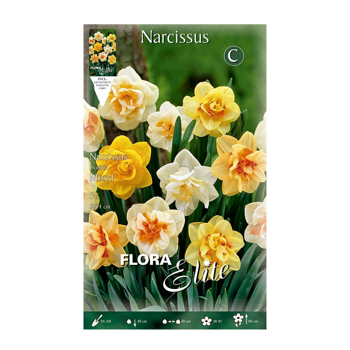Dubbele narcissenbollen, 5 stuks