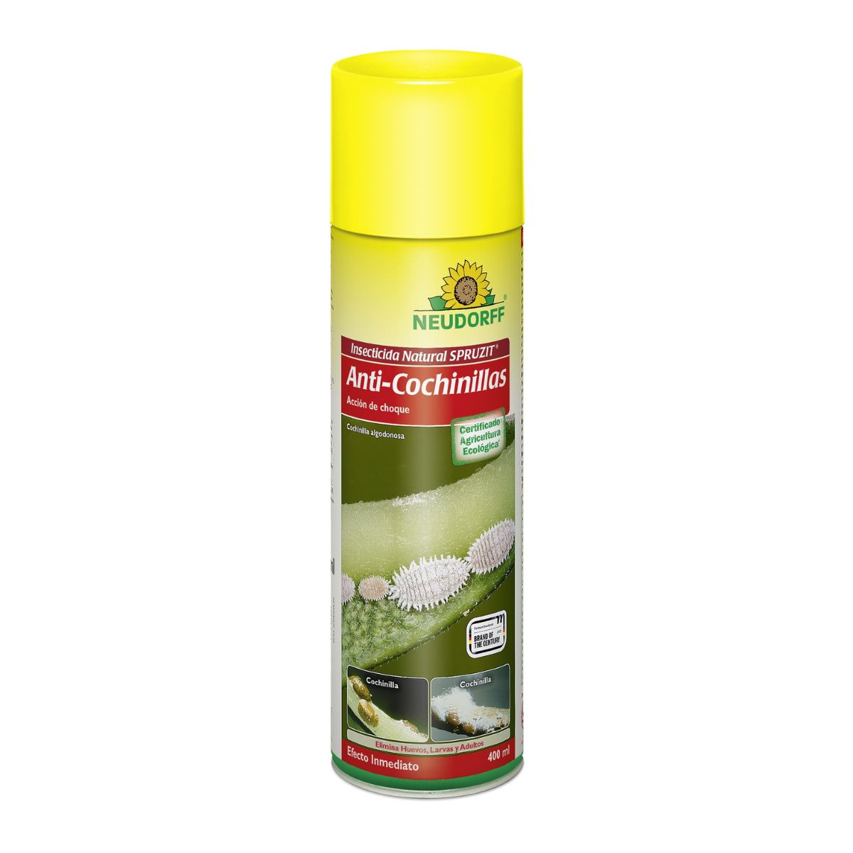 Insetticida anti cocciniglie Spruzit 400 ml Neudorff