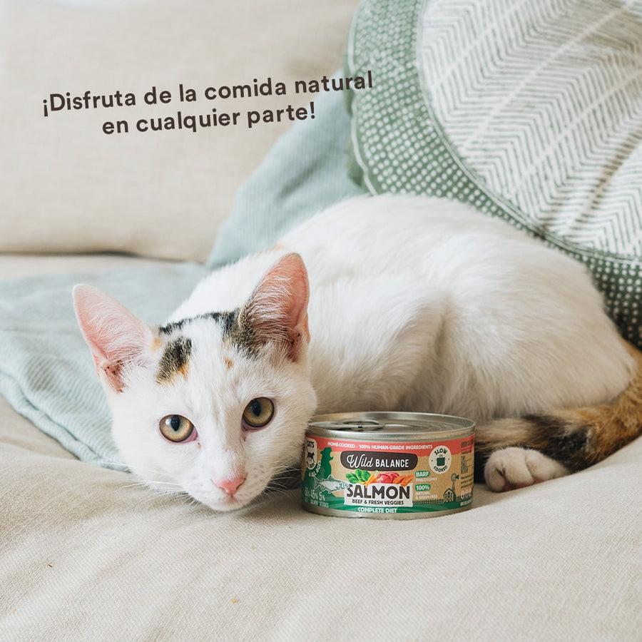 Pack de boîtes de saumon et de veau BARF pour chats 6 x 120 g Wild Balance