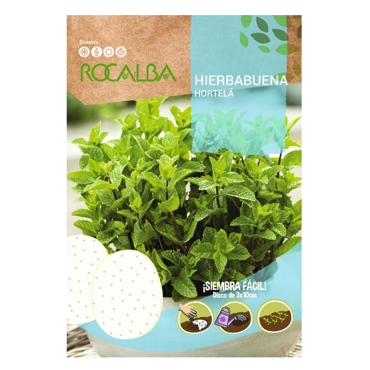 Pfefferminzsamen in Scheiben, Rocalba