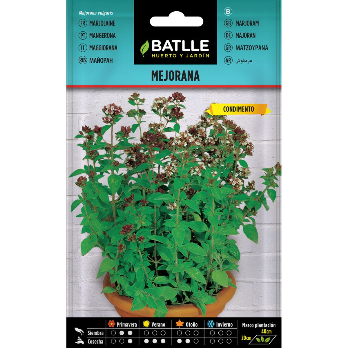 Graines de marjolaine Batlle