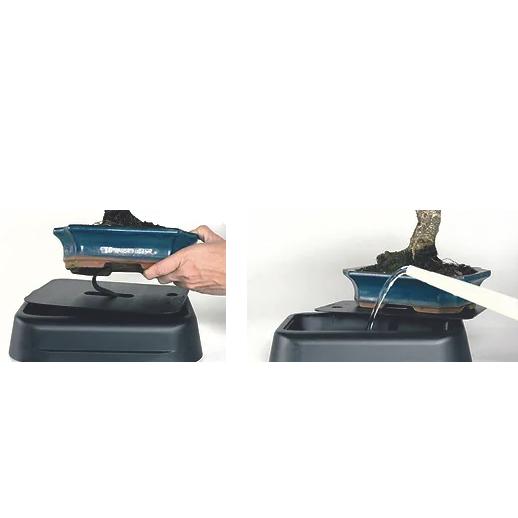 Automatisch bewateringssysteem voor bonsai 25 cm Hidrobonsai