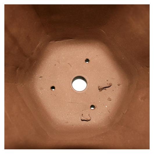 Asakusa Large Waterfall Planter