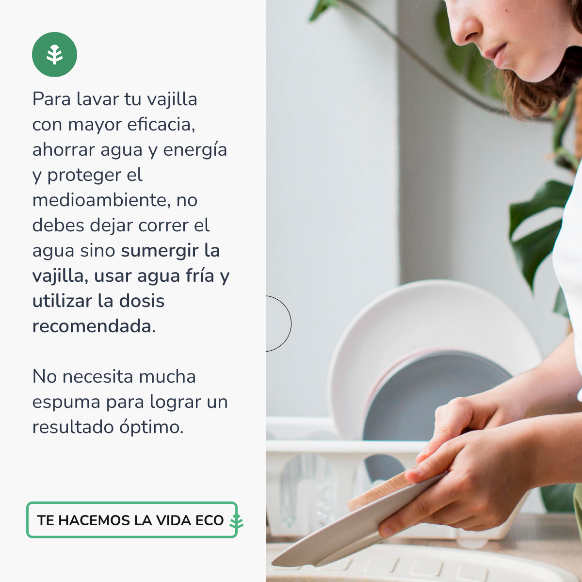 Lavavajillas Manual Té Verde ECO Planeta Huerto 5l
